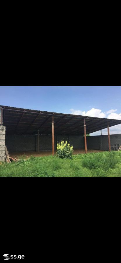 Store-Industrial Property For Sale. Mukhrani view 2