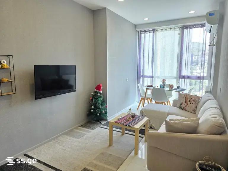 2 Room Apartment For Rent In Kazbegi view 11