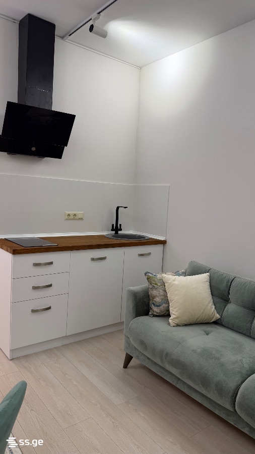 1 Room Flat Daily Rent. Tsikhisdziri view 5