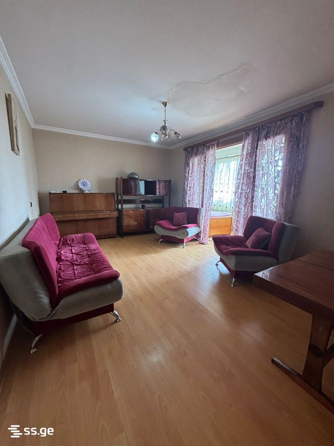 3 Room Flat For Rent. Mtskheta view 3
