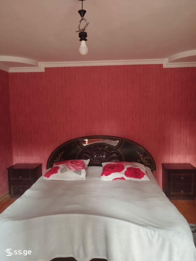 5 Room Private House For Rent. Kutaisi view 1