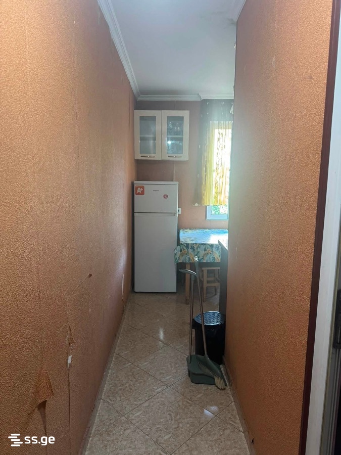 1 Room Flat For Rent. Rustavi view 3