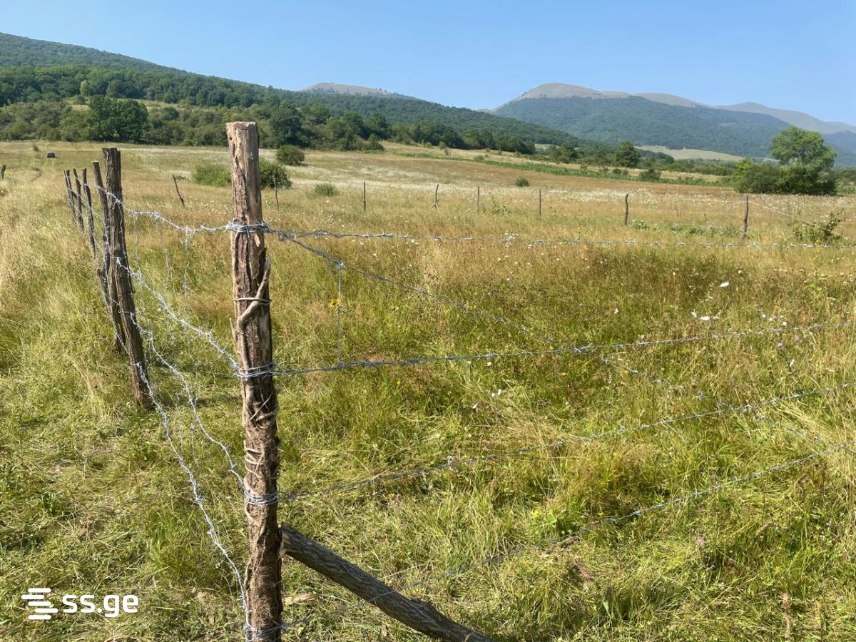 Land For Sale. Tianeti view 2