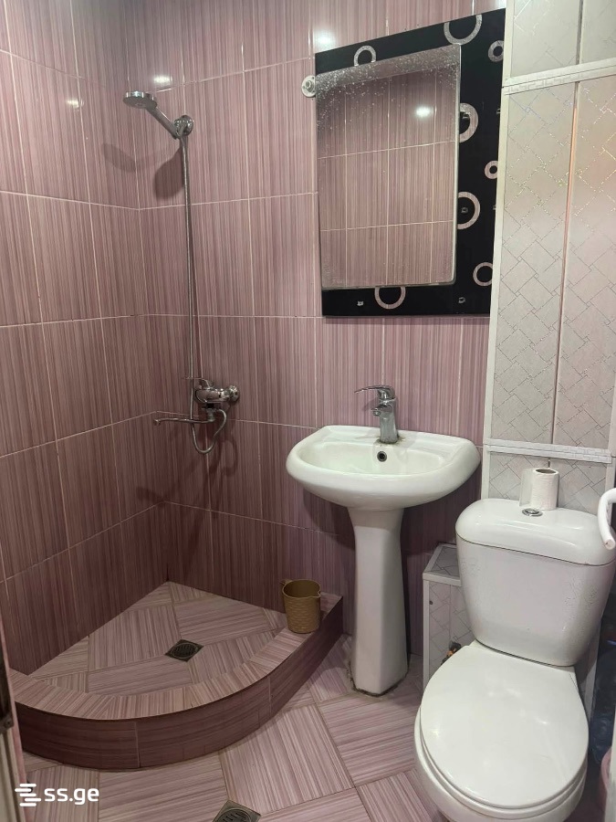 1 Room Flat For Rent. Rustavi view 5