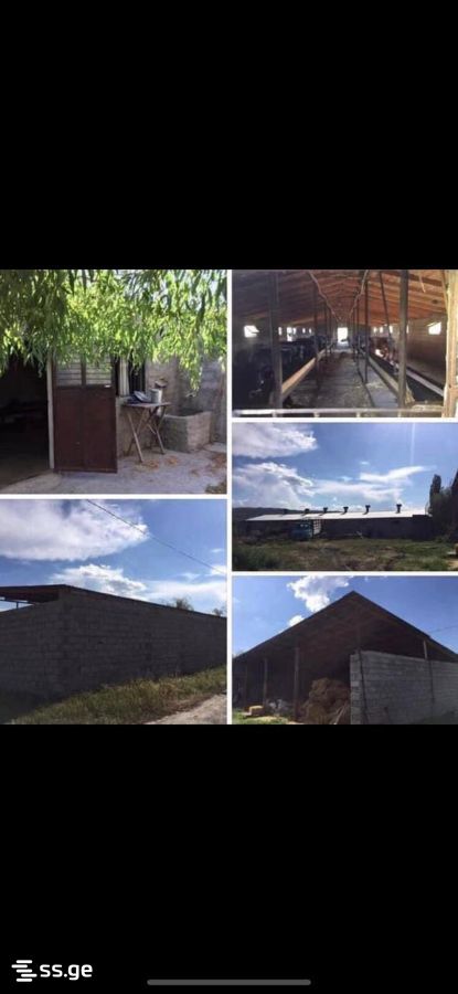 Store-Industrial Property For Sale. Mukhrani view 4