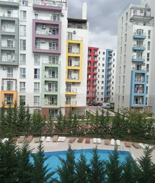 https://static.ss.ge/20260909/9_65513c7c-cc78-4353-9bd9-3c8938d75454_Thumb.jpg