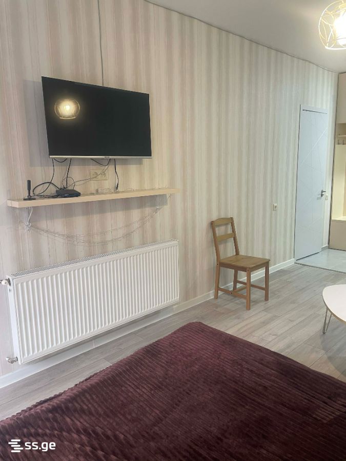 1 Room Flat For Rent. Borjomi view 5