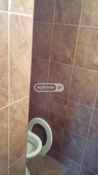 https://static.ss.ge/20260910/11_6c20ef36-d909-4cb8-907d-e3545092c3cb_Thumb.jpg