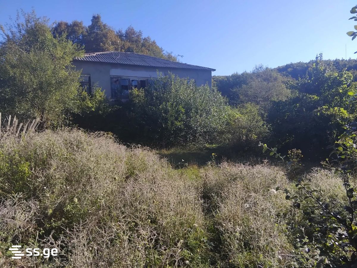 Land For Sale. Khashuri view 1