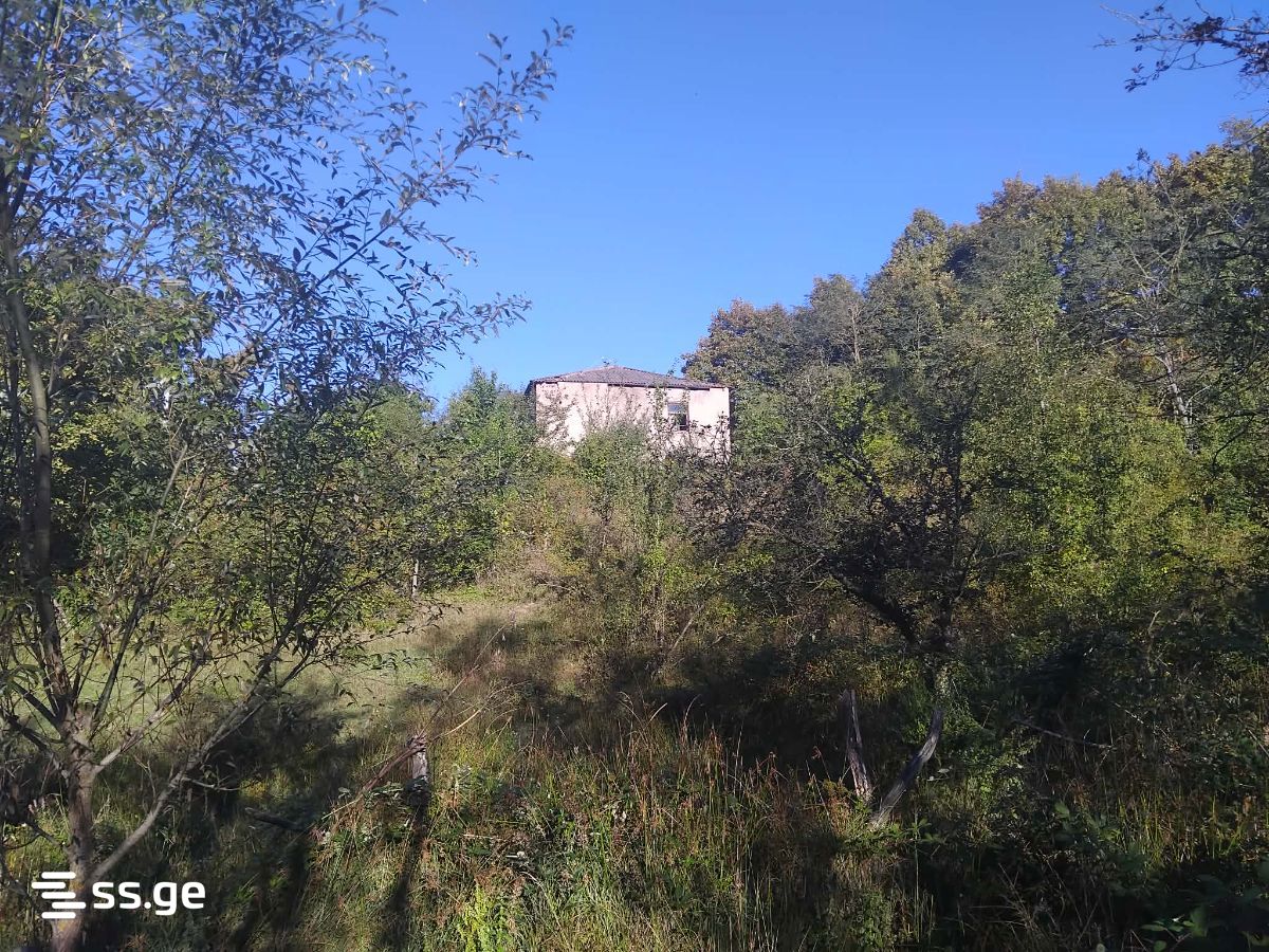Land For Sale. Khashuri view 2