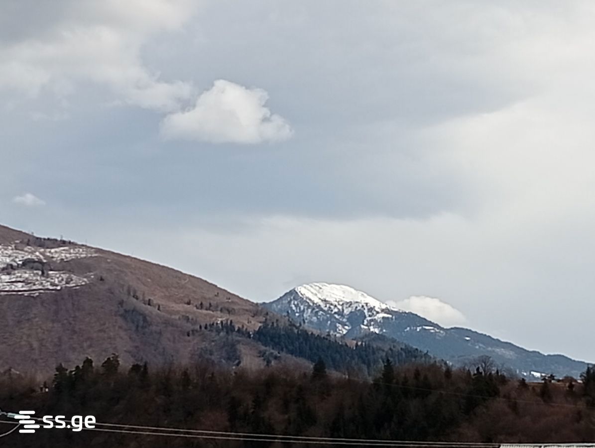 Commercial Space For Rent. Borjomi view 3