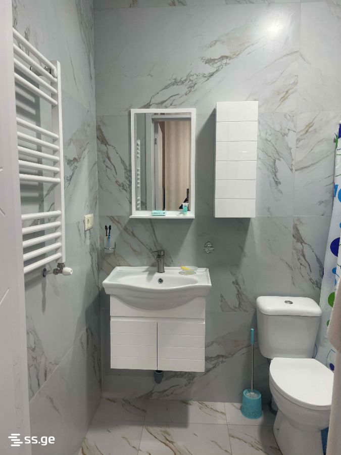 1 Room Flat For Rent. Borjomi view 6