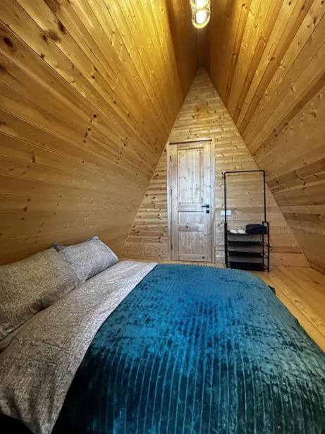 https://static.ss.ge/20260910/18_aab8b37a-b760-41c2-842b-5cef80176624_Thumb.jpg