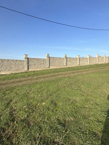 https://static.ss.ge/20260910/18_c9dd1cf2-fdf8-458f-89f0-9c0bb3ebc3b4_Thumb.jpg