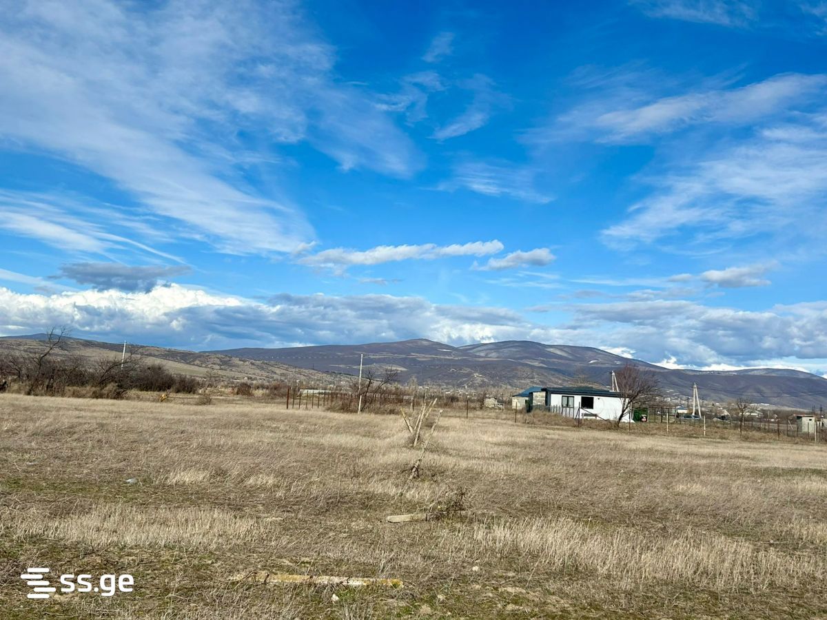 იყიდება მიწა მუხრანიში view 4