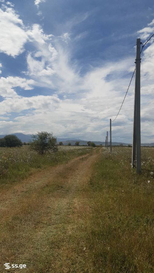 Land For Sale. Tsilkani view 1
