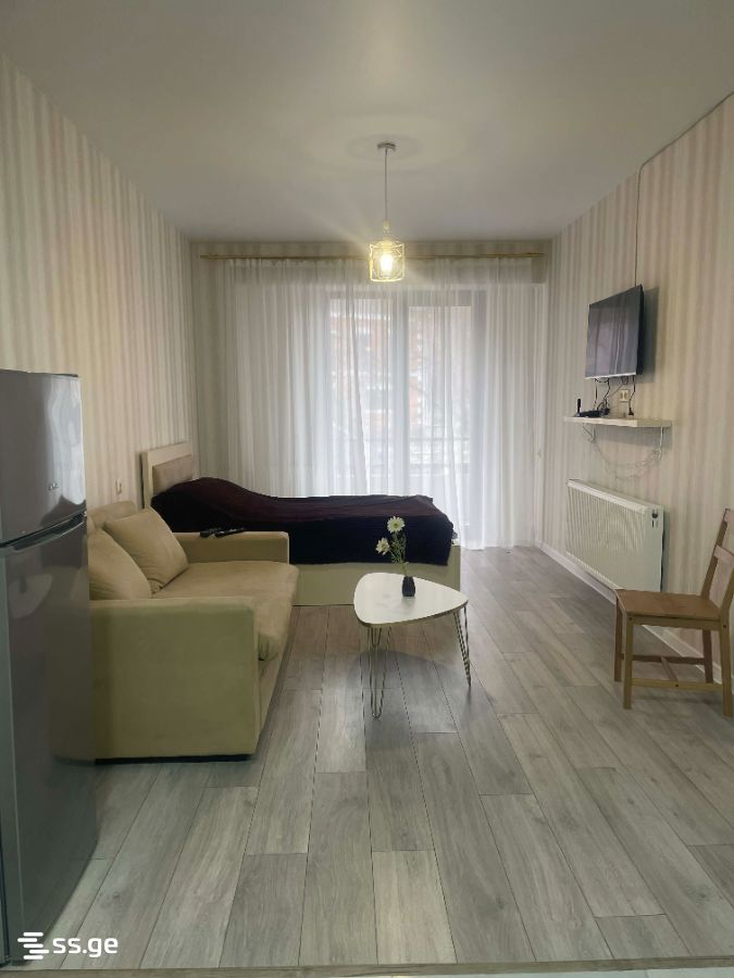 1 Room Flat For Rent. Borjomi view 3