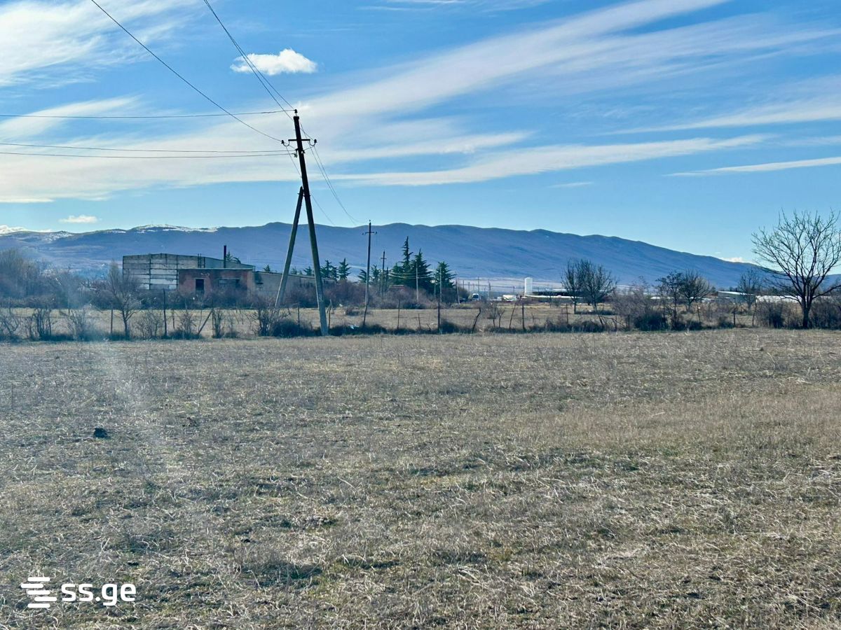 იყიდება მიწა მუხრანიში view 1