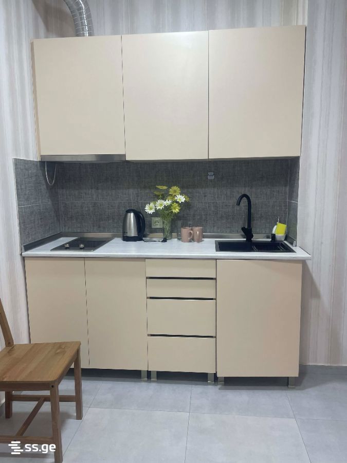 1 Room Flat For Rent. Borjomi view 1