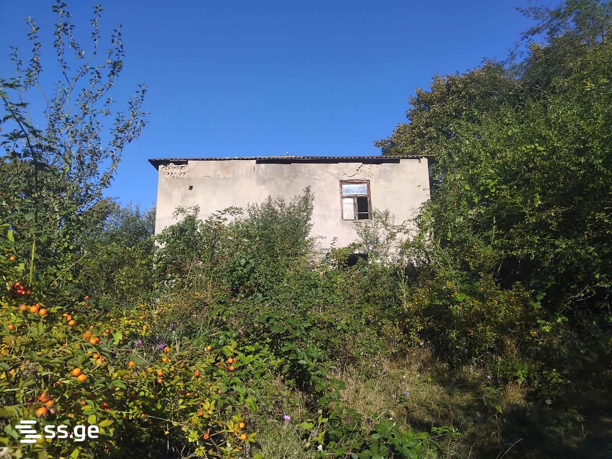 Land For Sale. Khashuri view 3