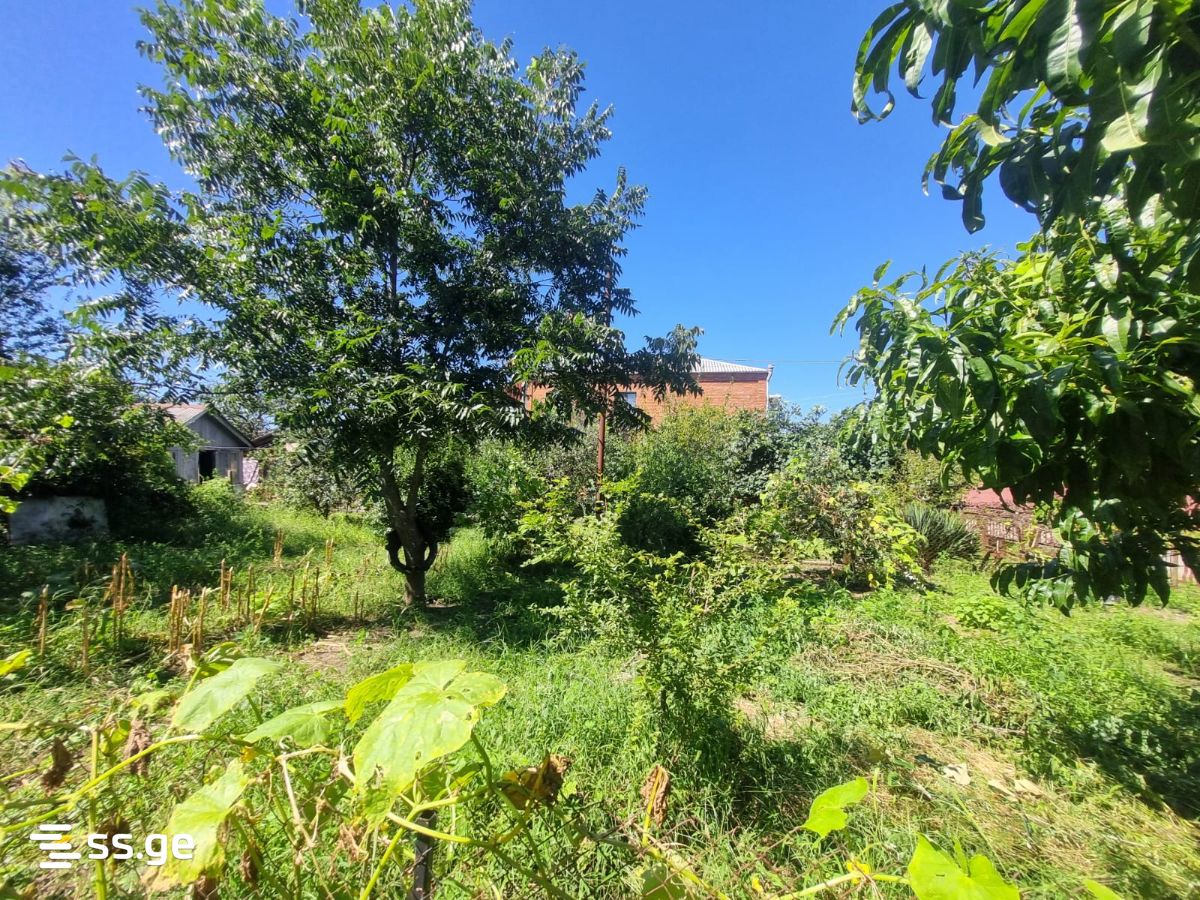 5 Room Private House For Rent. Poti view 13
