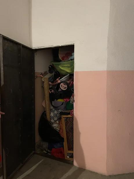 https://static.ss.ge/20260910/7_310c0e75-0c94-4282-a241-267b44aaf7ff_Thumb.jpg