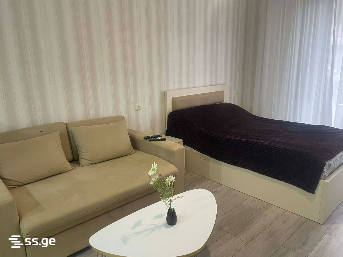 1 Room Flat For Rent. Borjomi view 7