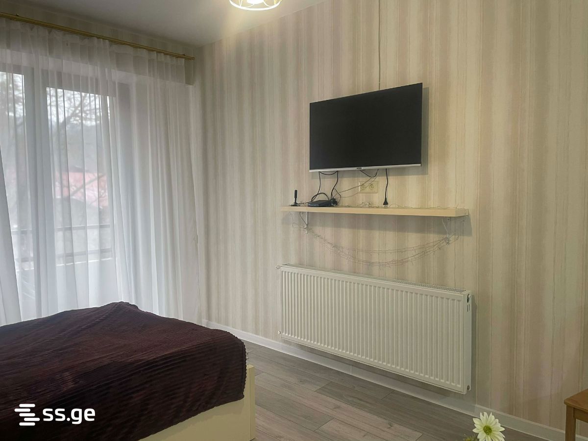 1 Room Flat For Rent. Borjomi view 4