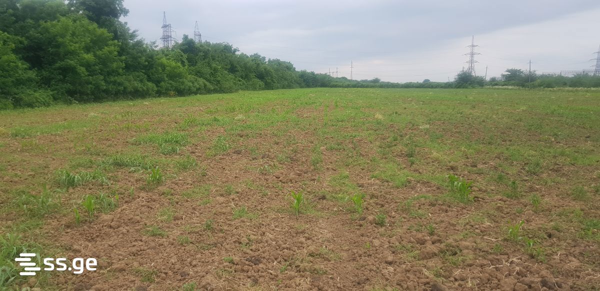Land For Sale. Zestaphoni view 2