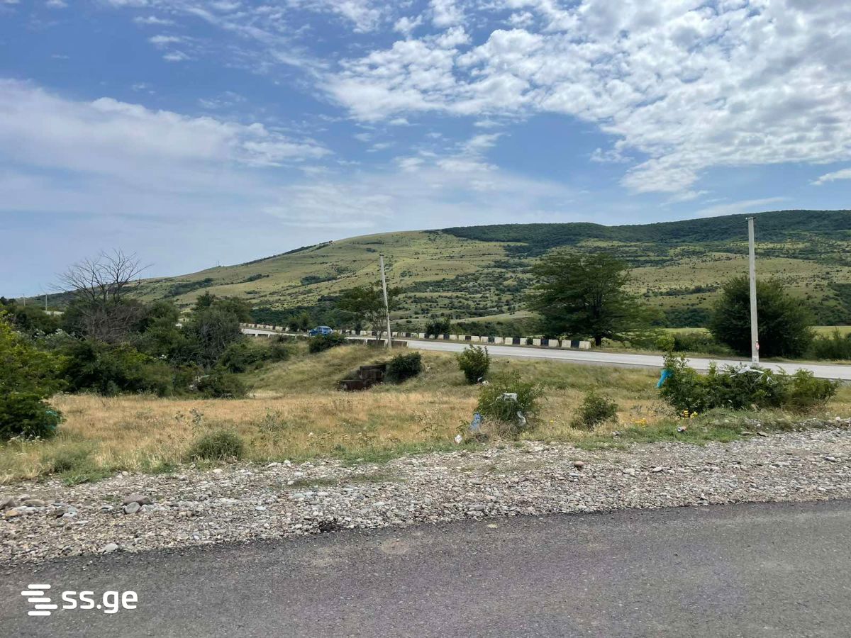 Land For Sale. Norio view 3