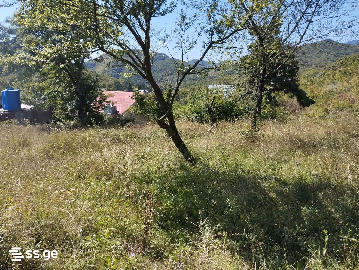 2 Room Private House For Sale view 4
