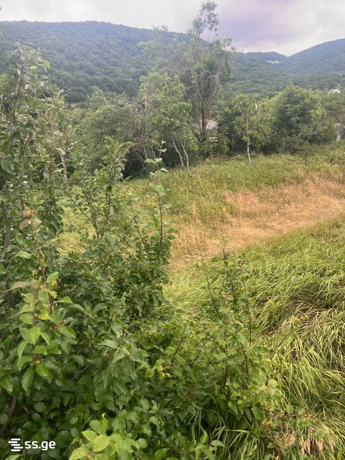 Land For Sale. Mukhattskaro view 3