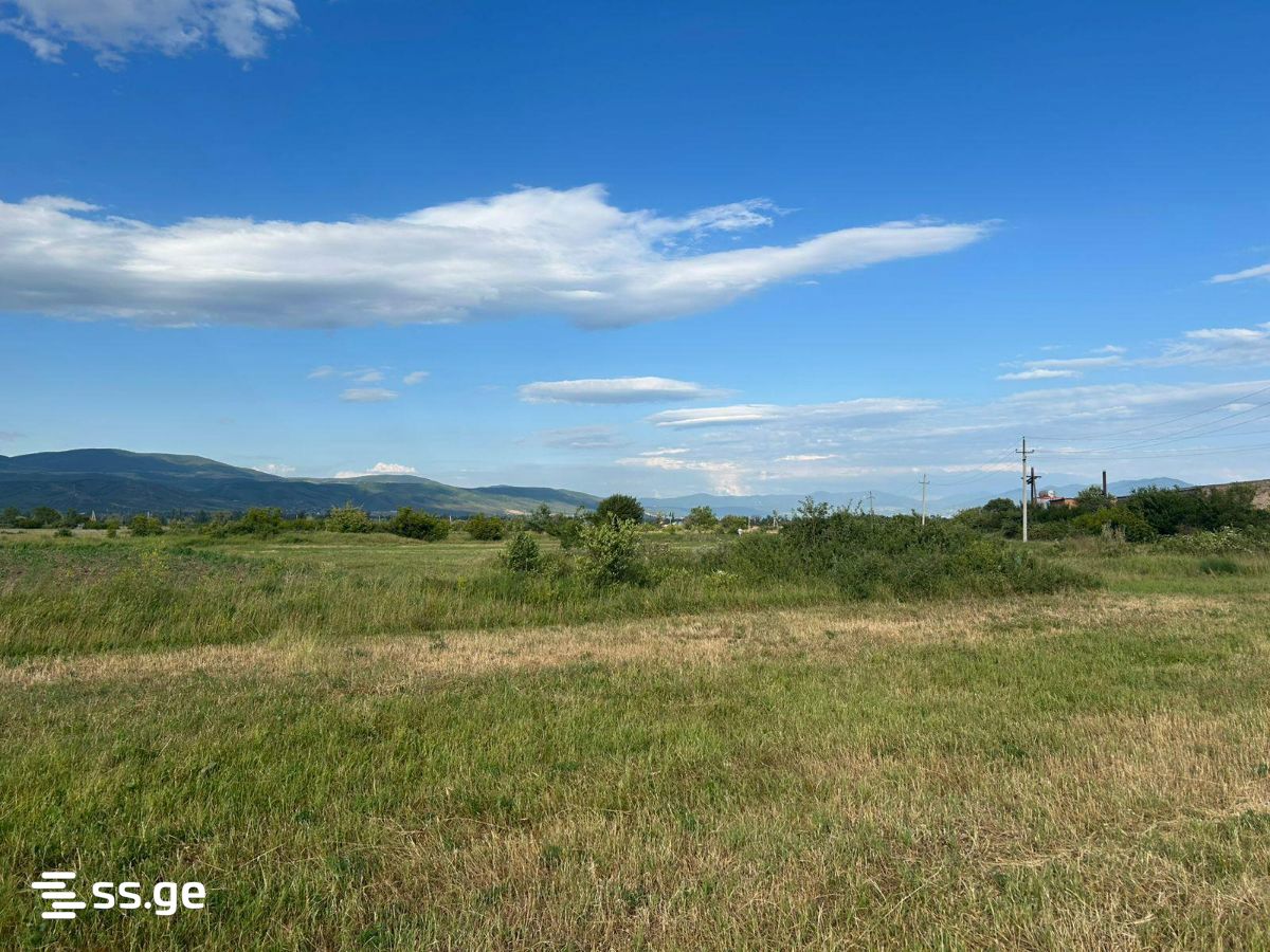 Land For Sale. Mukhrani view 19