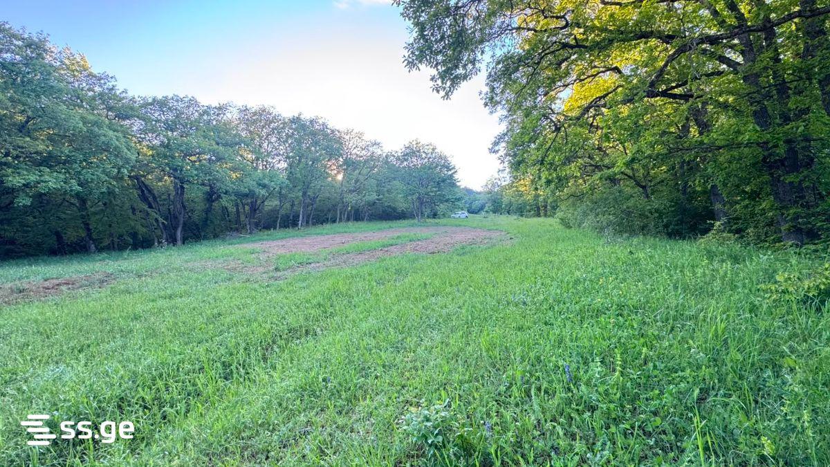 Land For Sale. Kiketi view 2