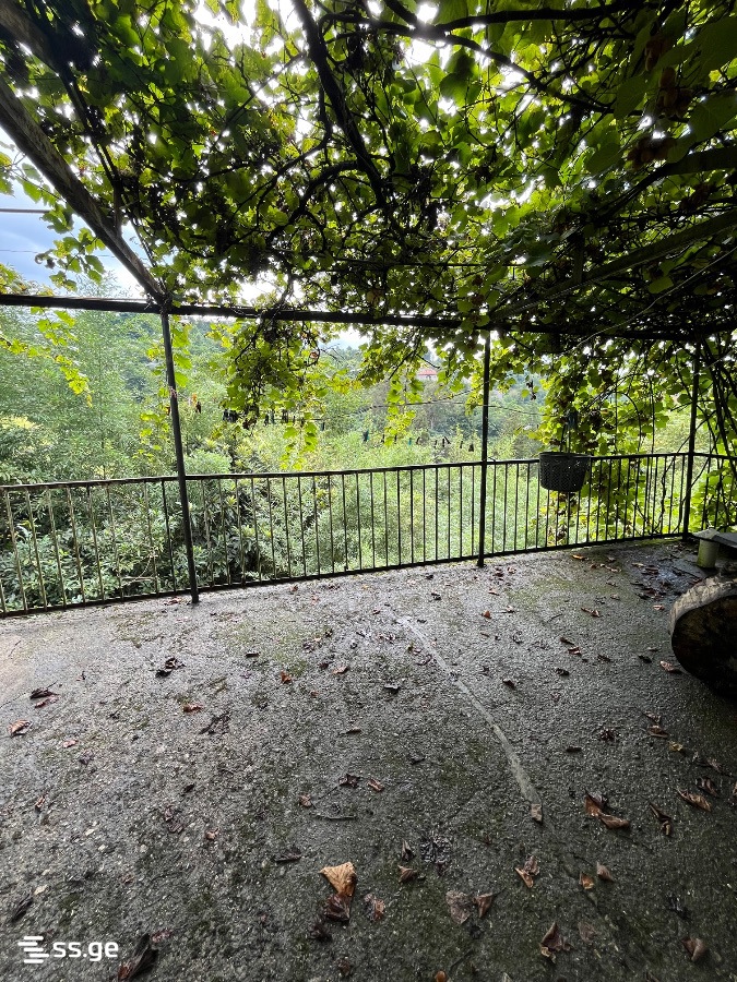 5 Room Private House Daily Rent. Makhindjauri view 9