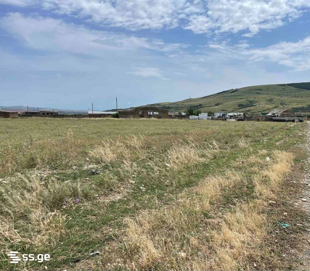 Land For Sale. Norio view 6