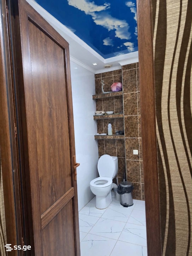 5 Room Flat For Rent. Kutaisi view 5