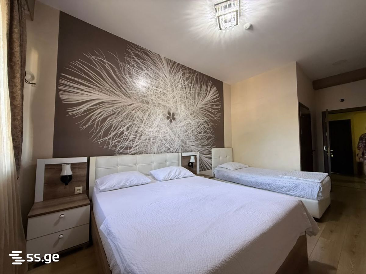 15 Room Hotel For Rent. Didube view 8