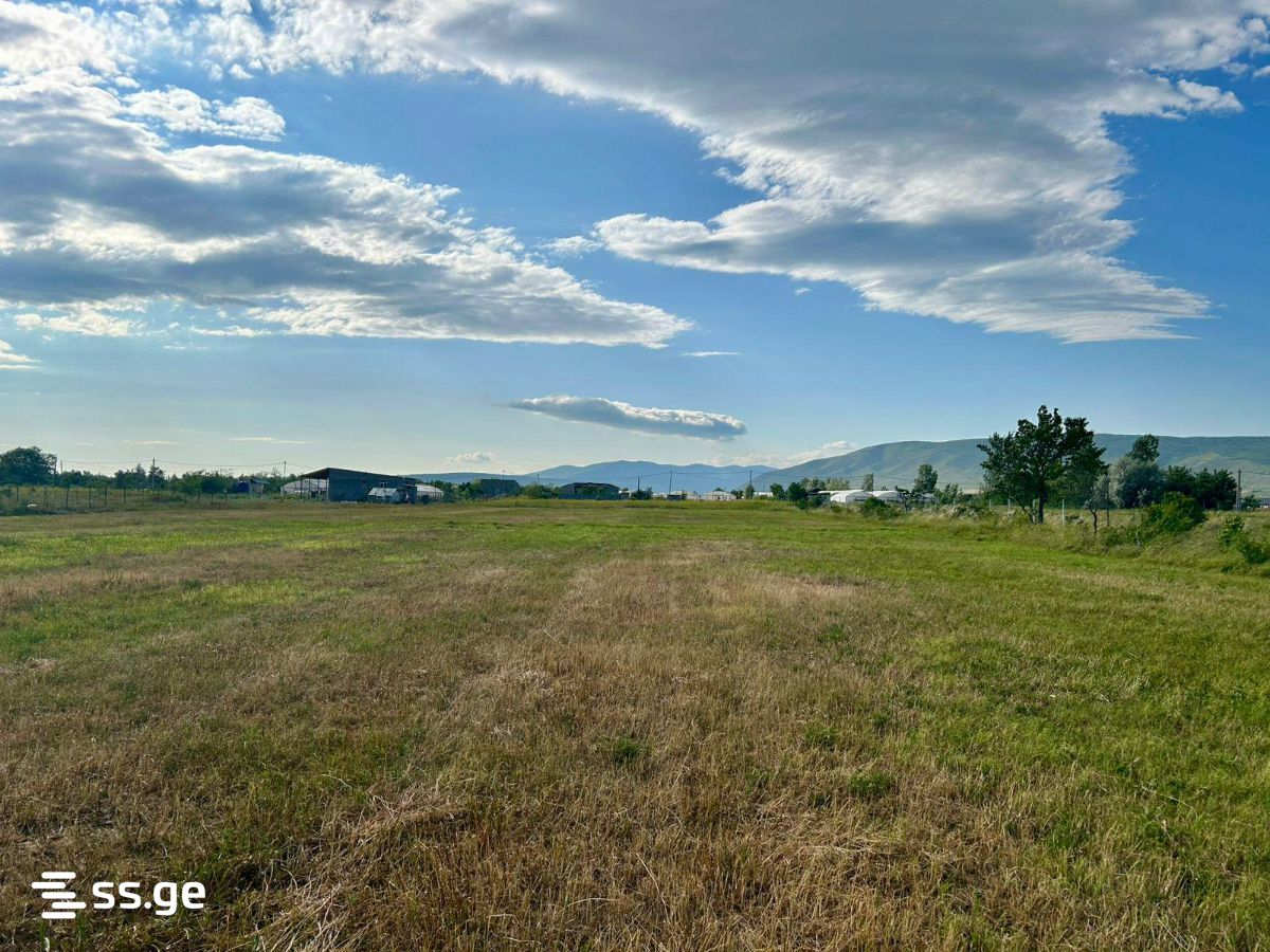 Land For Sale. Mukhrani view 12