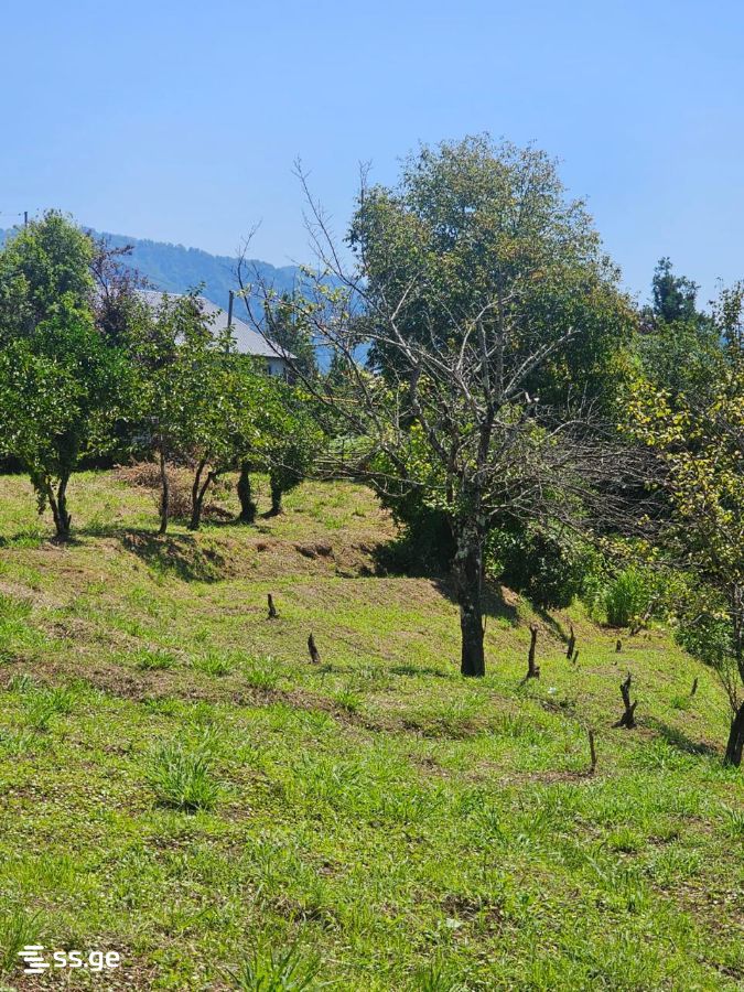 Land For Sale. Chaqvi view 4