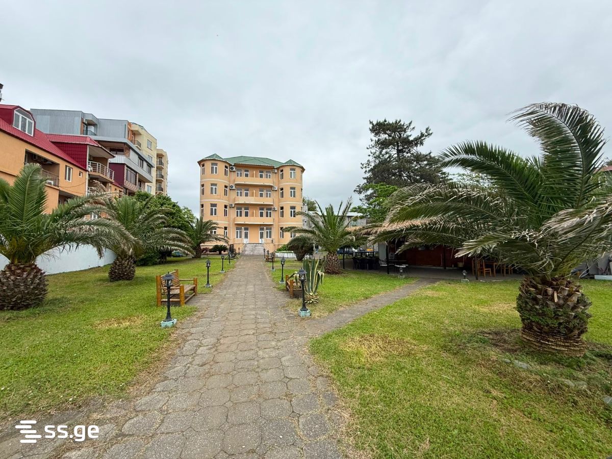 Commercial Space For Sale. Kobuleti view 2