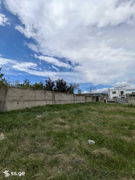 Land For Rent. Didi Digomi view 10