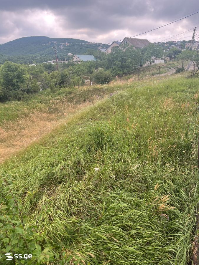 Land For Sale. Mukhattskaro view 5