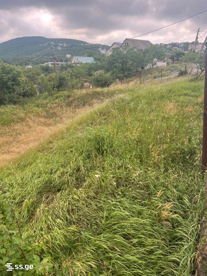 Land For Sale. Mukhattskaro view 4