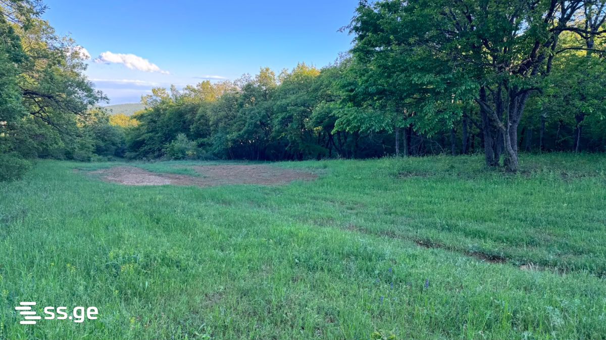 Land For Sale. Kiketi view 3