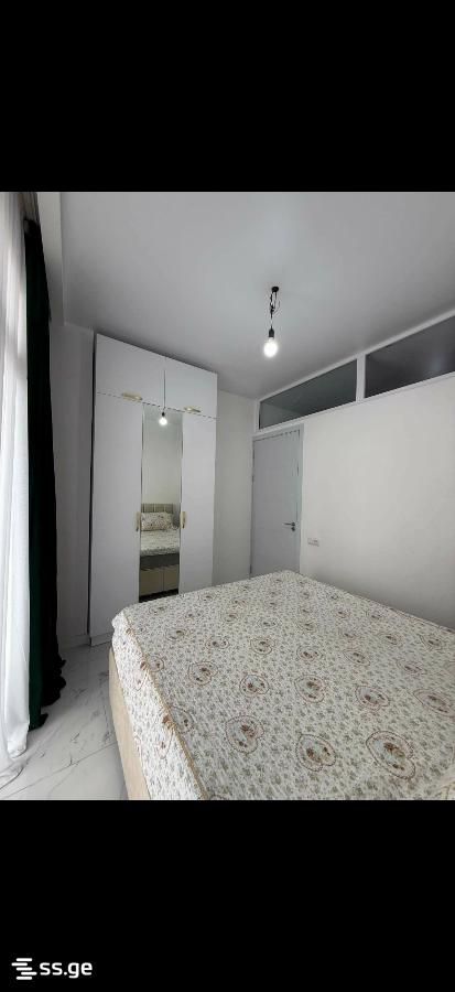 2 Room Flat For Rent. Makhindjauri view 6