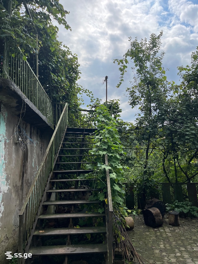 5 Room Private House Daily Rent. Makhindjauri view 8