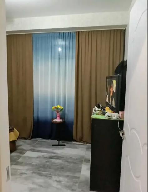 https://static.ss.ge/20260911/6_016740af-67bc-445f-b5be-327d387fab60_Thumb.jpg