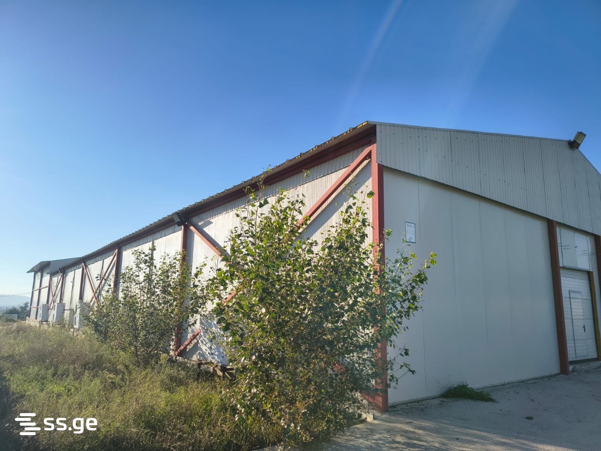 იყიდება Store-Industrial Property საგურამოში view 7