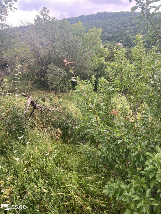 Land For Sale. Mukhattskaro view 2